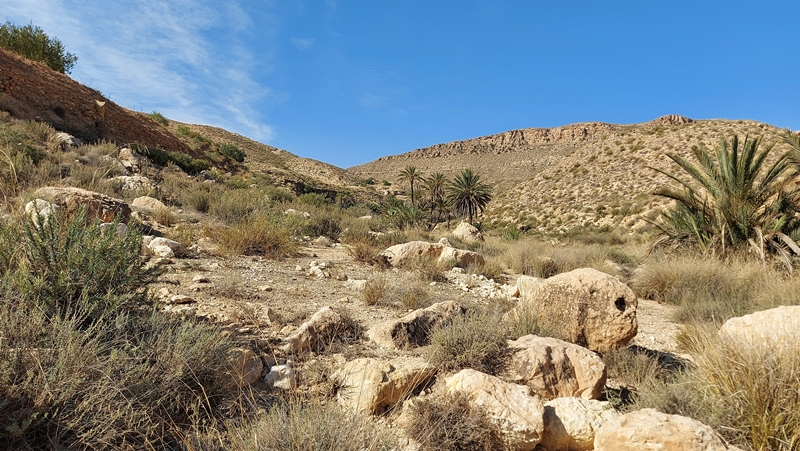 Toujane-Zmerten-4 Toujane-Zmerten