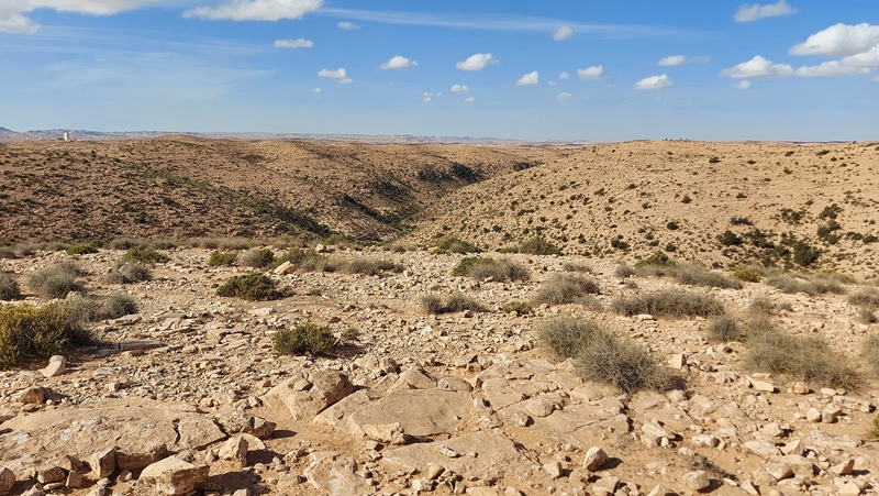 Toujane-Zmerten-6 Toujane-Zmerten